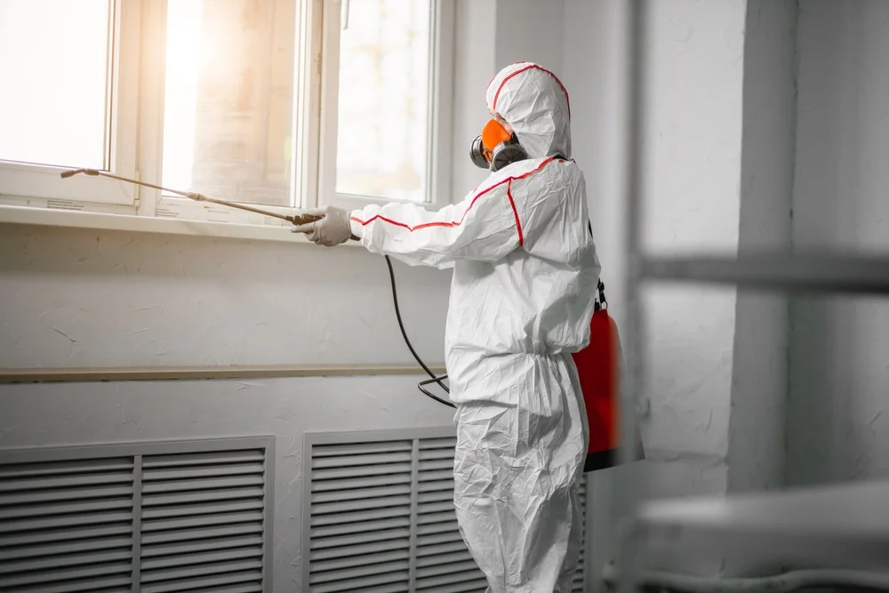 Professional mold remediation services in Bethlehem, GA